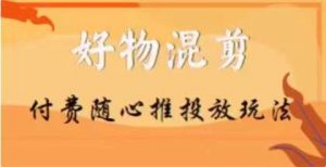 【万三】好物混剪付费随心推投放玩法,随心投放小课抖音教程-阳知网创资源库