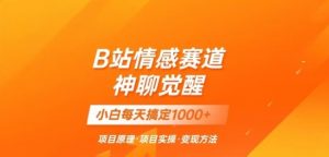 B站情感冷门蓝海赛道秒变现《神聊觉醒》一天轻松变现500+【揭秘】-阳知网创资源库