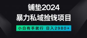 暴力私域捡钱项目，小白无脑操作，日入2980【揭秘】-阳知网创资源库