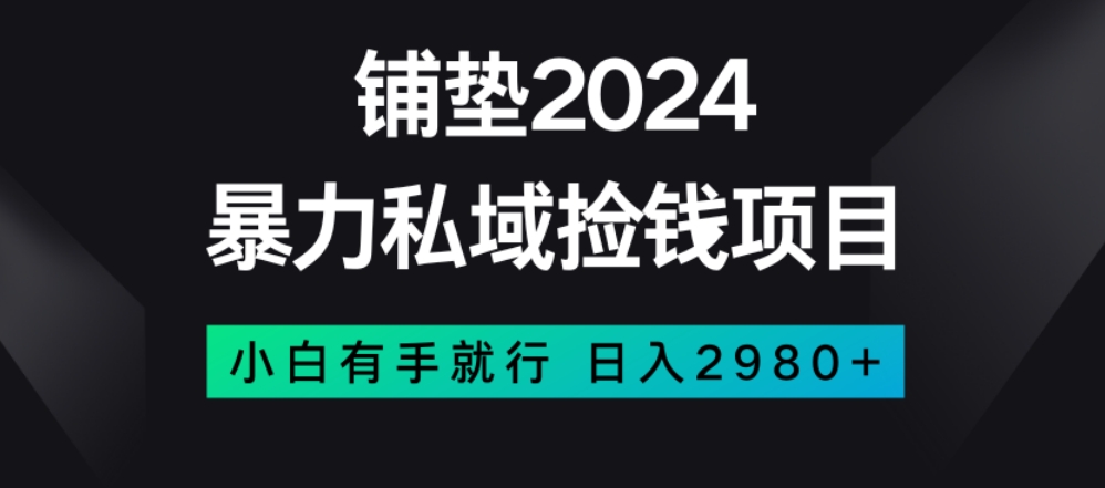 暴力私域捡钱项目，小白无脑操作，日入2980【揭秘】-阳知网创资源库