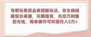 母婴玩具用品变现新玩法,京东商城超低价渠道,简单操作可实现月入2万+【揭秘】-阳知网创资源库