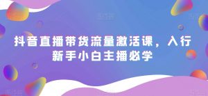 抖音直播带货流量激活课，入行新手小白主播必学-阳知网创资源库
