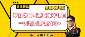 数据号回归玩法游戏试玩搬砖项目再创日入500+【揭秘】-阳知网创资源库