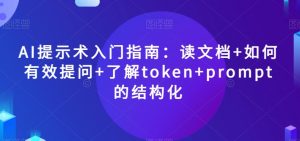 AI提示术入门指南：读文档+如何有效提问+了解token+prompt的结构化【揭秘】-阳知网创资源库