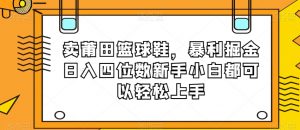 卖莆田篮球鞋，暴利掘金日入四位数新手小白都可以轻松上手【揭秘】-阳知网创资源库