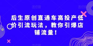 后生原创直通车高投产低价引流玩法,教你引爆店铺流量!-阳知网创资源库