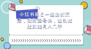 小红书每日一题最新玩法，涨粉起号快，复制粘贴就能月入几千【揭秘】-阳知网创资源库