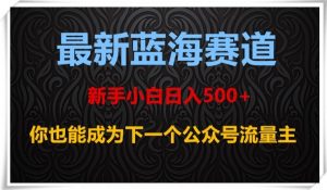最新蓝海赛道，新手小白日入500+，你也能成为下一个公众号流量主【揭秘】-阳知网创资源库