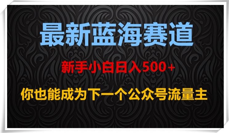 最新蓝海赛道，新手小白日入500+，你也能成为下一个公众号流量主【揭秘】-阳知网创资源库