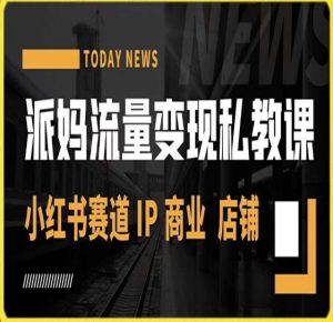 派妈流量变现私教课,小红书赛道IP 商业 店铺 -阳知网创资源库
