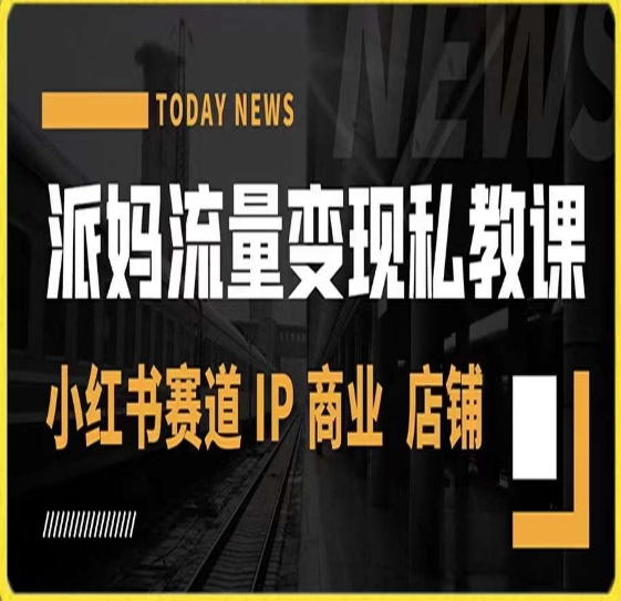 派妈流量变现私教课,小红书赛道IP 商业 店铺 -阳知网创资源库