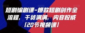 短剧编剧课-爆款短剧创作全流程,干货满满,内容权威【20节视频课】-阳知网创资源库
