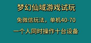 梦幻仙域游戏试玩,免微信玩法,单机40-70,一个人同时操作十台设备【揭秘】-阳知网创资源库