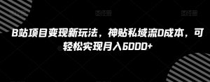 B站项目变现新玩法,神贴私域流0成本,可轻松实现月入6000+【揭秘】-阳知网创资源库