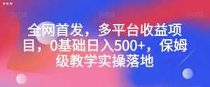 全网首发，多平台收益项目，0基础日入500+，保姆级教学实操落地【揭秘】-阳知网创资源库