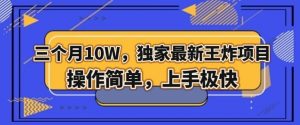 三个月10W，独家最新王炸项目！操作简单，上手极快【揭秘】-阳知网创资源库