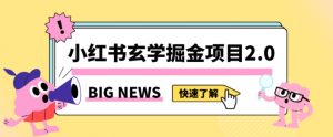 小红书玄学掘金项目,值得常驻的蓝海项目,日入3000+附带引流方法以及渠道【揭秘】-阳知网创资源库