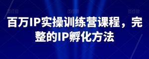 百万IP实操训练营课程，完整的IP孵化方法-阳知网创资源库