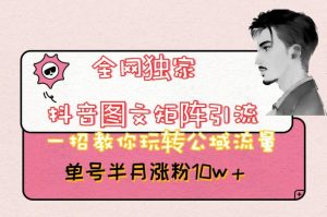 全网独家抖音图文矩阵引流,一招教你玩转公域流量,单号半月涨粉10w+【揭秘】-阳知网创资源库