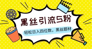 S粉变现,轻松日入四位数,黑丝题材+情感话术【揭秘】-阳知网创资源库