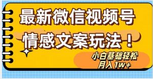 微信视频号情感文案最新玩法，小白轻松月入1万+无脑搬运【揭秘】-阳知网创资源库