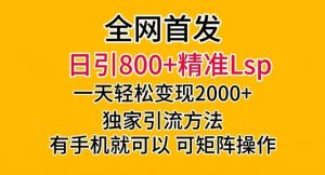 全网首发!日引800+精准老色批,一天变现2000+,独家引流方法,可矩阵操作【揭秘】-阳知网创资源库