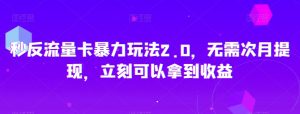 秒反流量卡暴力玩法2.0，无需次月提现，立刻可以拿到收益【揭秘】-阳知网创资源库