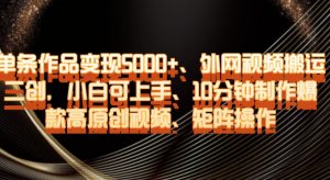 单条作品变现5000+、外网视频搬运二创，小白可上手，10分钟制作爆款高原创视频，矩阵操作【揭秘】-阳知网创资源库