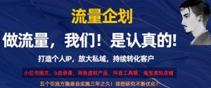 流量企划,打造个人IP,放大私域,持续转化客户【揭秘】-阳知网创资源库