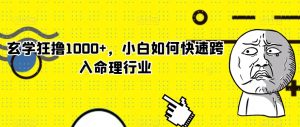玄学狂撸1000+,小白如何快速跨入命理行业【揭秘】-阳知网创资源库