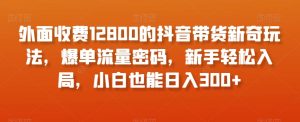 外面收费12800的抖音带货新奇玩法，爆单流量密码，新手轻松入局，小白也能日入300+【揭秘】-阳知网创资源库