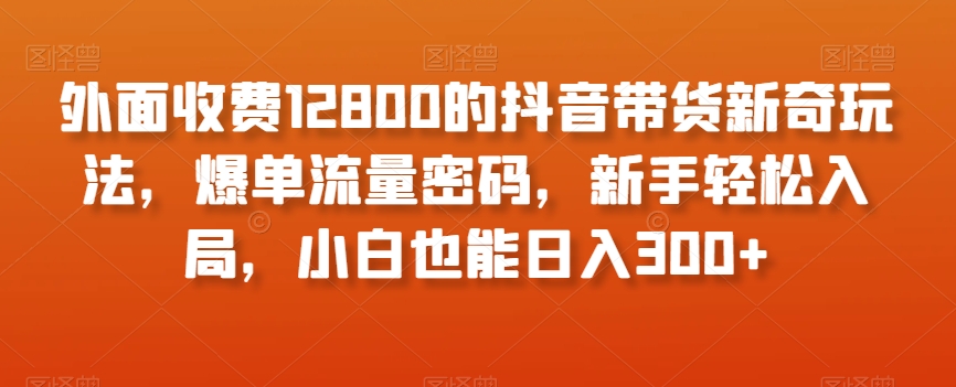 外面收费12800的抖音带货新奇玩法,爆单流量密码,新手轻松入局,小白也能日入300+【揭秘】-阳知网创资源库