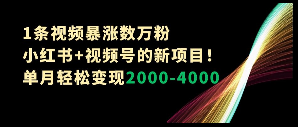 1条视频暴涨数万粉–小红书+视频号的新项目!单月轻松变现2000-4000【揭秘】-阳知网创资源库