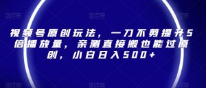 视频号原创玩法,一刀不剪提升5倍播放量,亲测直接搬也能过原创,小白日入500+【揭秘】-阳知网创资源库