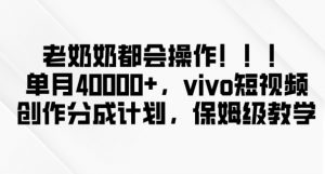 老奶奶都会操作，新平台无脑操作，单月40000+，vivo短视频创作分成计划【揭秘】-阳知网创资源库