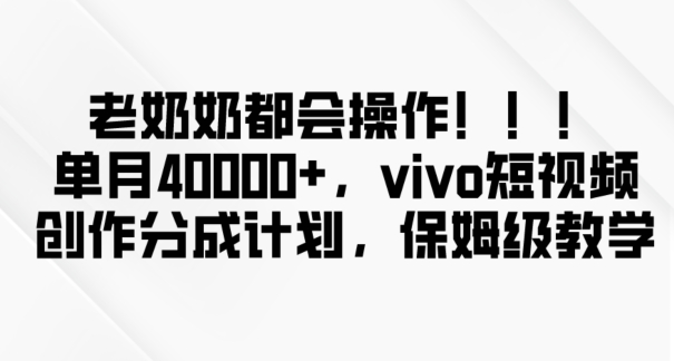 老奶奶都会操作，新平台无脑操作，单月40000+，vivo短视频创作分成计划【揭秘】-阳知网创资源库