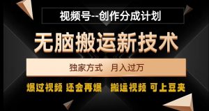 视频号无脑搬运新技术,破原创壕流量,独家方式,爆过视频,还会再爆【揭秘】-阳知网创资源库