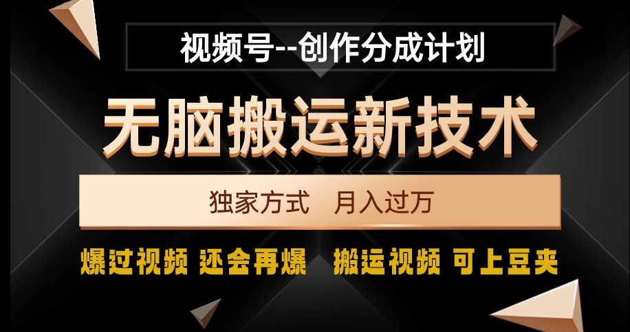 视频号无脑搬运新技术,破原创壕流量,独家方式,爆过视频,还会再爆【揭秘】-阳知网创资源库