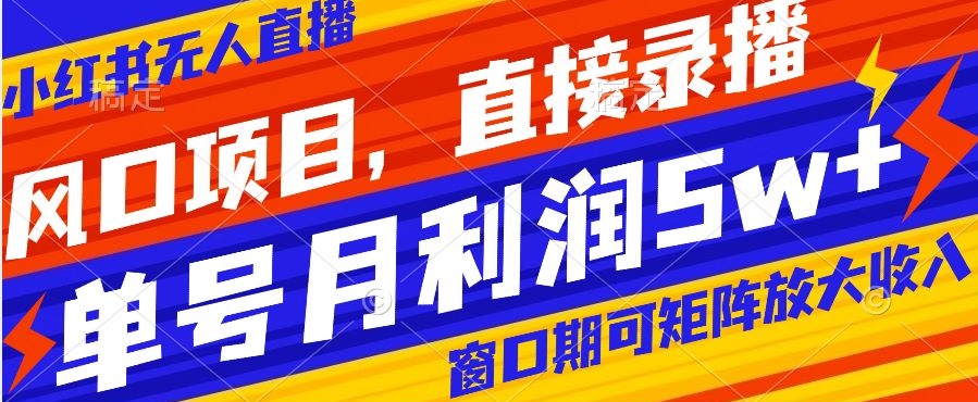 风口项目,小红书无人直播带货,直接录播,可矩阵,月入5w+【揭秘】-阳知网创资源库