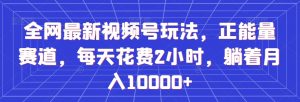 全网最新视频号玩法，正能量赛道，每天花费2小时，躺着月入10000+【揭秘】-阳知网创资源库