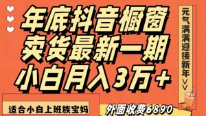 外面收费6890元年底抖音橱窗卖货最新一期,小白月入3万,适合小白上班族宝妈【揭秘】-阳知网创资源库