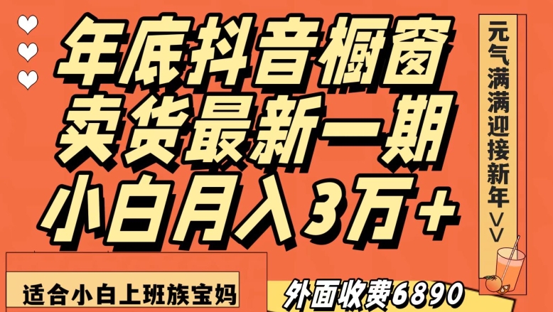 外面收费6890元年底抖音橱窗卖货最新一期,小白月入3万,适合小白上班族宝妈【揭秘】-阳知网创资源库