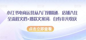 小红书电商运营从入门到精通,店铺入住全流程文档+爆款文案词,自有非凡收获-阳知网创资源库