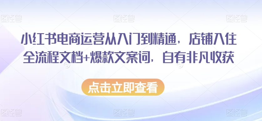 小红书电商运营从入门到精通,店铺入住全流程文档+爆款文案词,自有非凡收获-阳知网创资源库