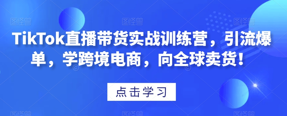 TikTok直播带货实战训练营，引流爆单，学跨境电商，向全球卖货！-阳知网创资源库