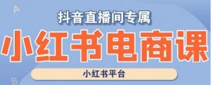 小红书电商高级运营课程,实操教学+案例分析-阳知网创资源库