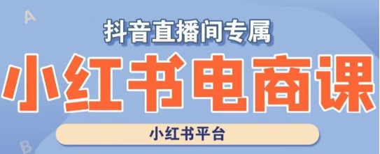 小红书电商高级运营课程,实操教学+案例分析-阳知网创资源库
