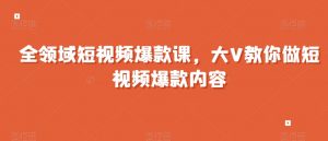全领域短视频爆款课,全网两千万粉丝大V教你做短视频爆款内容-阳知网创资源库