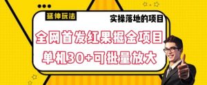 全网首发红果免费短剧掘金项目,单机30+可批量放大【揭秘】-阳知网创资源库