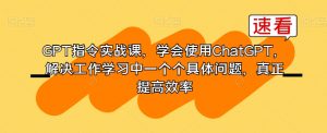 GPT指令实战课,学会使用ChatGPT,解决工作学习中一个个具体问题,真正提高效率-阳知网创资源库